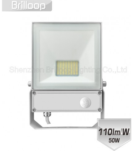 F17.AC-PIR  Floodlight